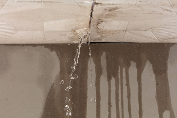 Professional Water Damage Repair technician working in Percy, IL